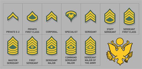U S Army Enlisted Ranks Recognition Quiz Quiz Flashcards Trivia