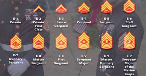 U S Marine Corps Staff Sergeant Pay Grade And Rank Details