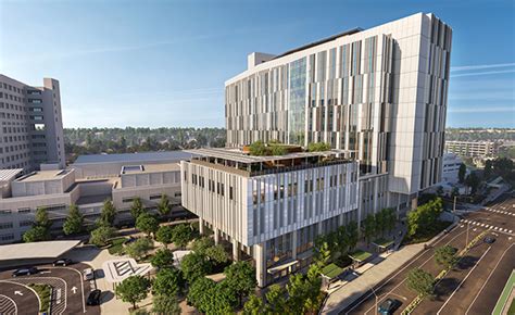 Uc Davis Anml Health Tchn 3