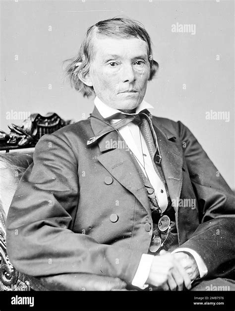 United States Senator Alexander Hamilton Stephens Who Was Vice