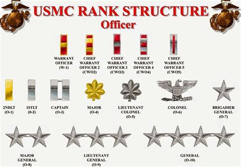Us Marine Warrant Officer Ranks