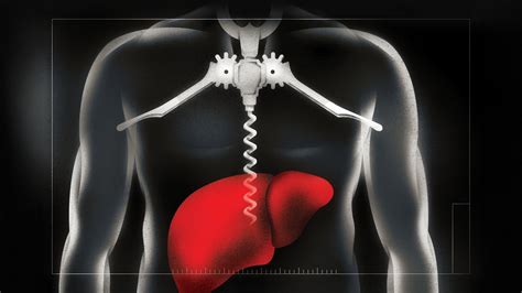 Usc Doctors Are Leading Treatment Of The Post Covid Rise In Alcohol