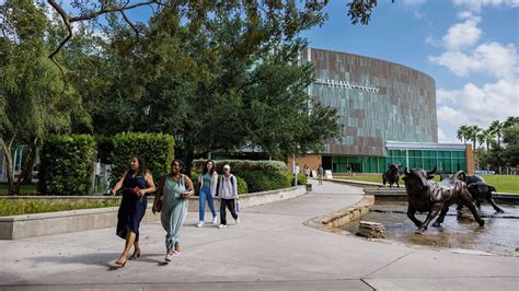 Usf Tampa Is One Of The Best Colleges In America According To Money