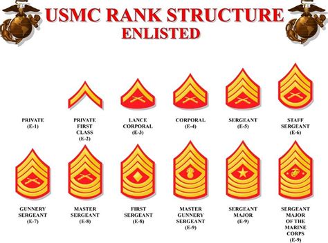 Usmc Enlisted Rank Premium Marine Corps Insignias Superherodiy
