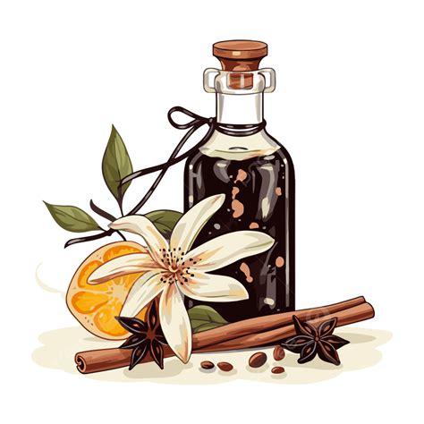 Vanilla Extract Png