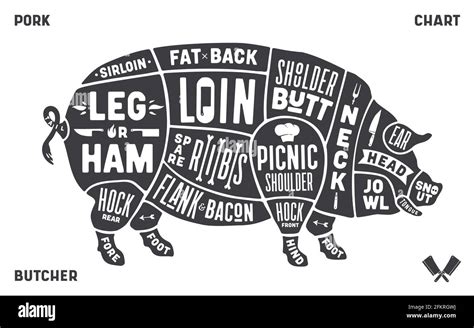 Vector Cuts Of Pork Or Butcher Scheme Pig Stock Vector Illustration
