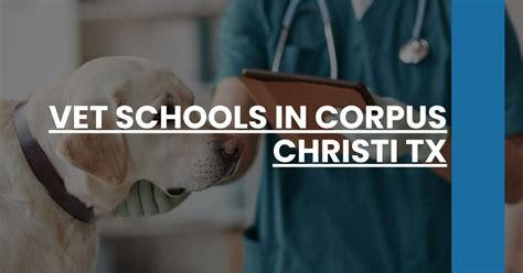 Vet Schools In Corpus Christi Tx Navle Prep