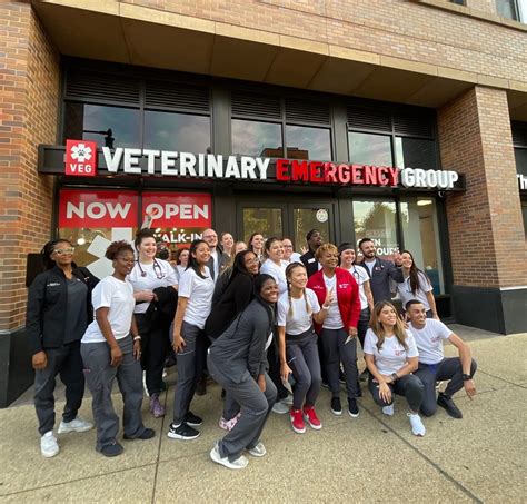 Veterinary Emergency Group Brentwood Mo Official Website