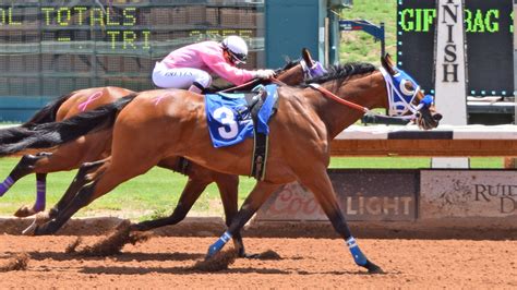 Video Of Riderless Horse That Wins At New Mexico Racetrack Goes Viral