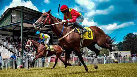 Virtual Horse Racing