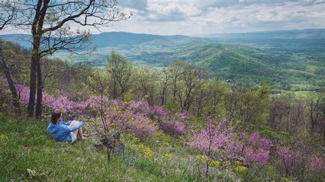 Visit Front Royal 2026 Travel Guide For Front Royal Virginia Expedia