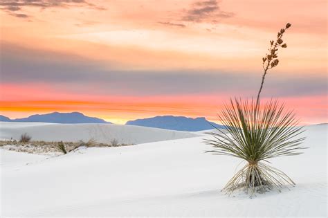Visitor S Guide To White Sands National Monument In New Mexico