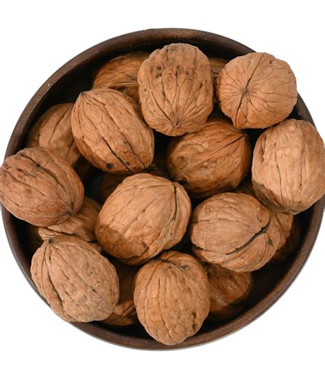 Walnut With Shell Zafran House Walnut With Shell Zafran House