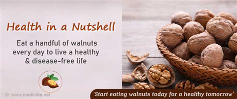 Walnuts A Powerhouse For Better Health As We Age Walnuts A Powerhouse For Better Health As We Age
