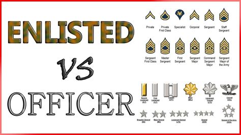 Warrant Officer Vs Commissioned Officer Synonym