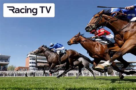 Watch Horse Racing Today Online Youtube Tv Free Trial