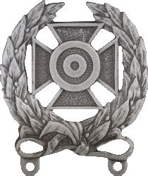 Weapons Qualification Badge Expert Silver Oxide Nsn 8455 01 113 0061
