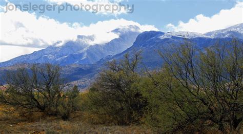 Weimaraner Sierra Vista Az Download Free Bloggingthoughts