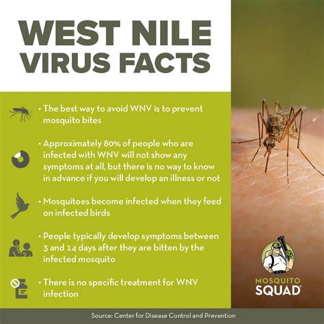 West Nile Virus In Philly Follow These Mosquito Bite Prevention Tips West Nile Virus In Philly Follow These Mosquito Bite Prevention Tips
