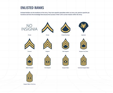 What Are Army Rankings