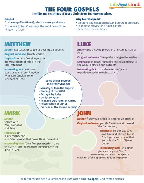 Four Gospels Uncovered: Essential Christian Insights