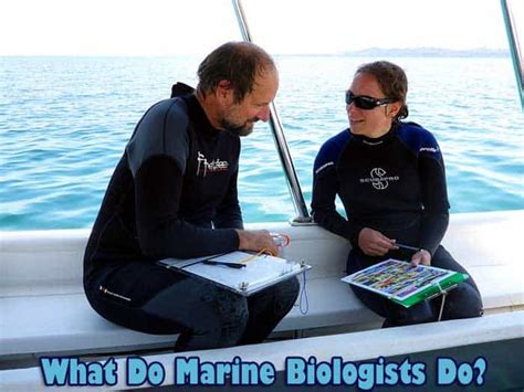 What Do Marine Biologists Do