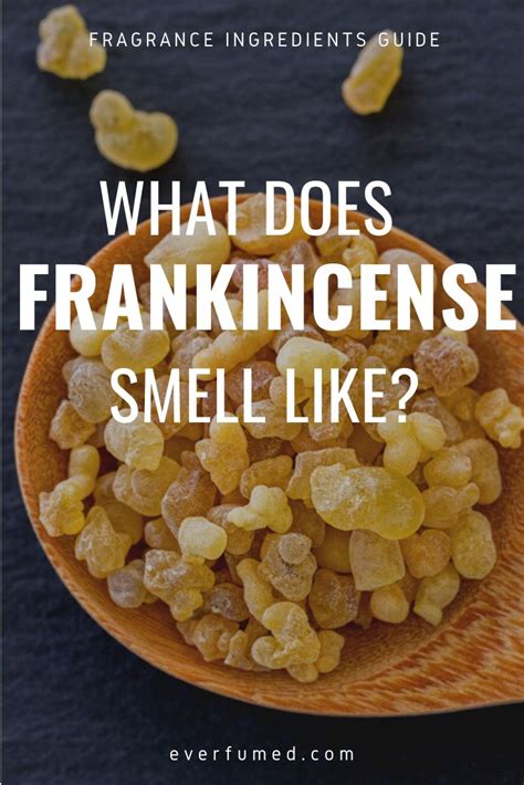 What Does Frankincense Smell Like Everfumed Fragrance Notes