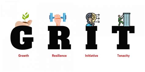 What Does Grit Mean