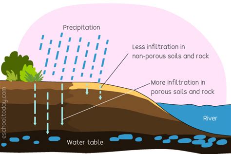 What Does Infiltration Mean In The Water Cycle Eschooltoday What Does Infiltration Mean In The Water Cycle Eschooltoday