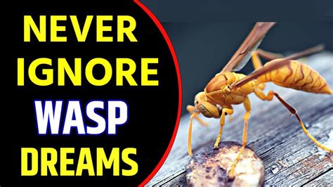 What Does Wasp Dream Meaning Dreaming Of Wasps Wasp Dream Interpretation