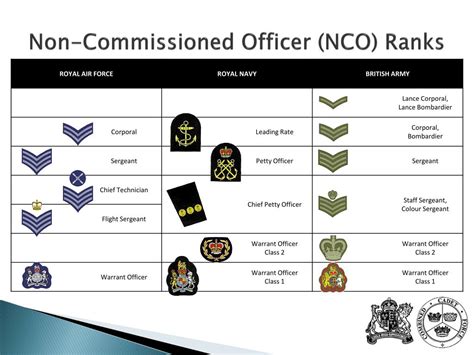 What Is A Non Commissioned Officer In The Us Army World Armies
