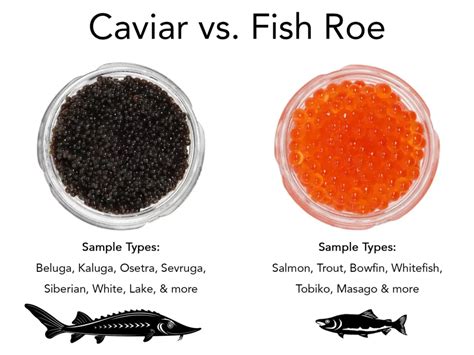 What Is Fish Roe And What Is The Difference With Caviar