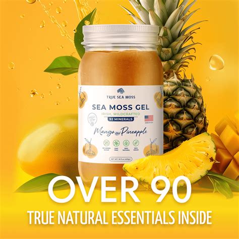 What Is Sea Moss And How To Use It Correctly True Sea Moss