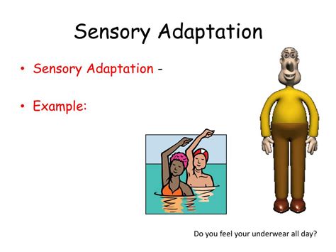 What Is Sensory Adaptation: Uncover Its Secrets!