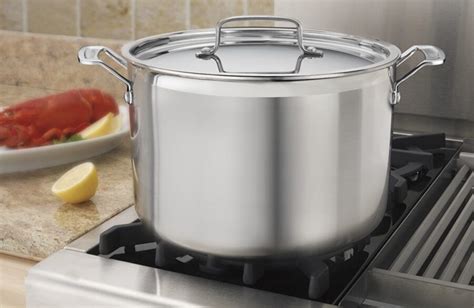 What Is The Best 6 Quart Stockpot For Canning Leafscore
