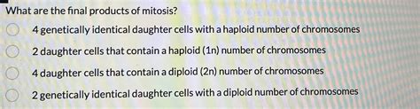 Unveiling the Mystery Behind What is the Final Product of Mitosis