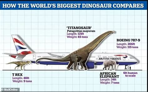 What Is The Largest Dinosaur That Ever Existed Proto Animal