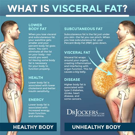 What Is Visceral Fat How To Get Rid Of It