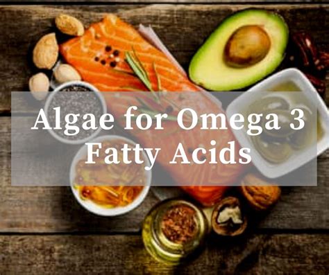 How To Use Alage: What Proteins Does Alage Provide For A Diet