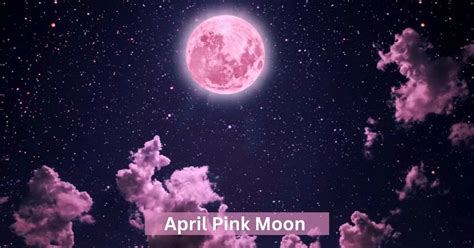 What S A Pink Moon And When Can You See It What S A Pink Moon And When Can You See It