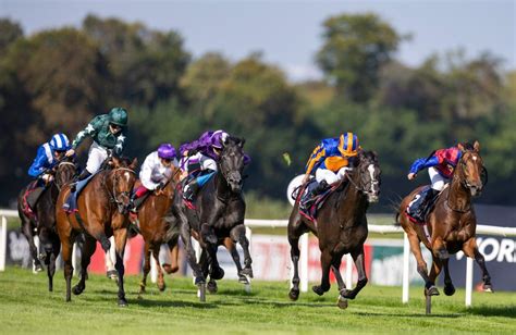 What S Your Most Memorable Racing Commentary Of 2023 Help Me Pick The Best One Racing Post