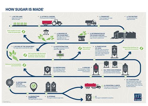 Unveiling the Simple Sugar Produced in Nature