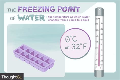 What Temp is Freezing: Simple Cold Fact