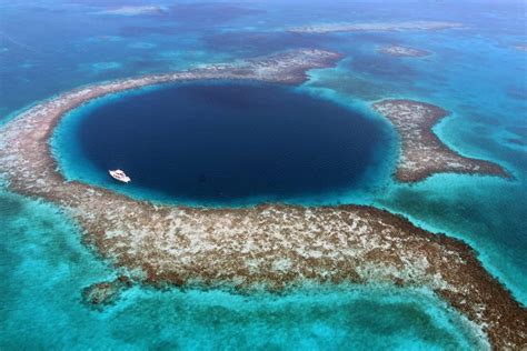 What To Expect At The Great Blue Hole Oceanic Society