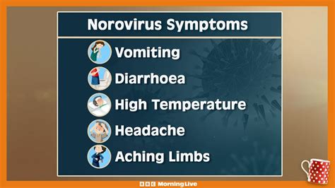 What To Know About Norovirus And How To Treat It Time