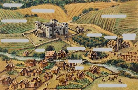 What Was Life Like In The Medieval Manor