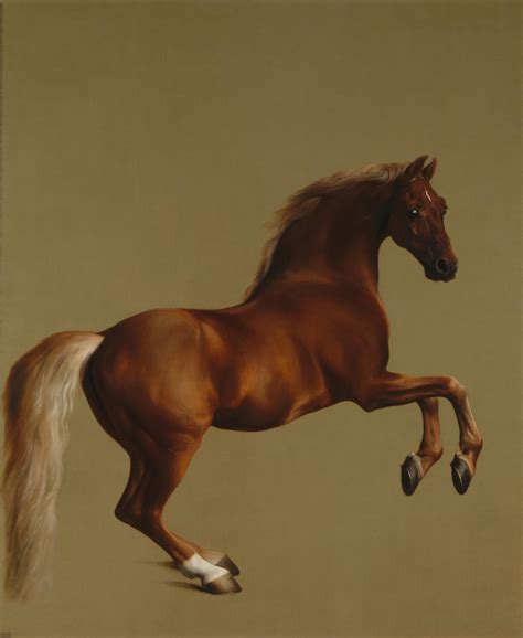 Whistlejacket 1762
