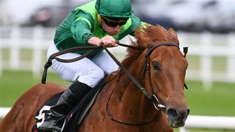 Whistlejacket Cut To 7 1 For Coventry After Slick Success