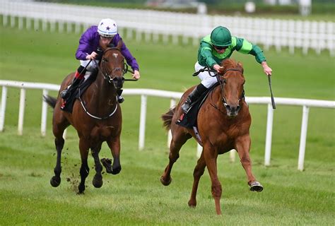 Whistlejacket Rower2012 Blipfoto