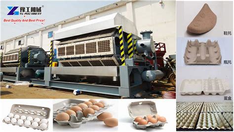 Wholesale Egg Tray Machine Price Paper Egg Carton Making Machine Egg Wholesale Egg Tray Machine Price Paper Egg Carton Making Machine Egg